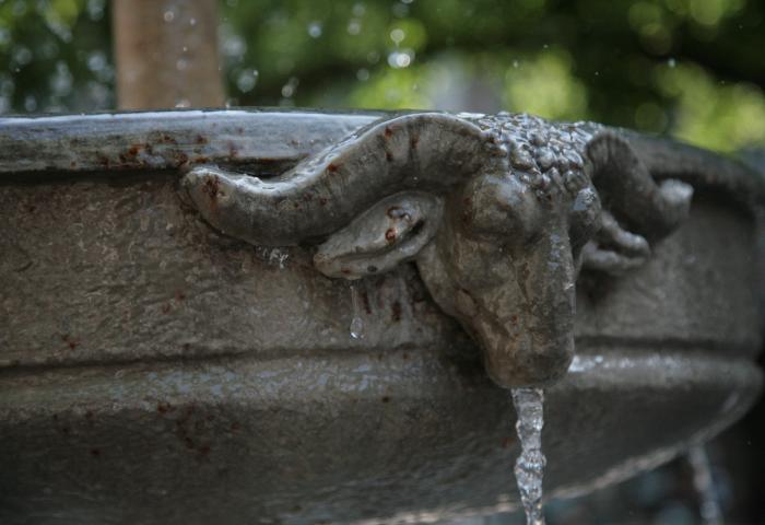 fontaine liègeoise